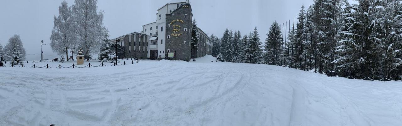 Hotel Castel Dracula П'ятра-Финтинеле Екстер'єр фото